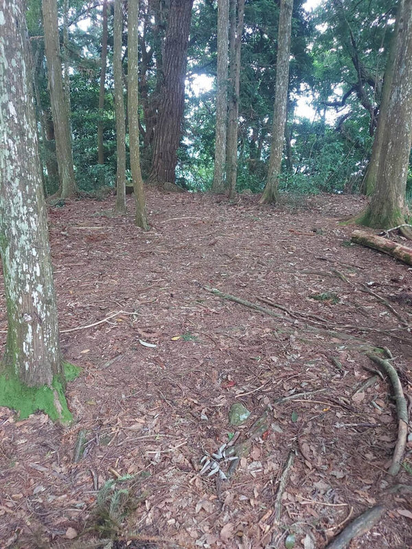 苗栗縣泰安鄉司馬限林道的「二本松Balihun砲台」遺址,經提報爭取登錄為苗栗縣的有形文化資產。縣府文化觀光局提供新聞資料表示,砲台的存在,在歷史上是大安溪北勢群泰雅族祖先捍衛土地家園、傳統文化的象徵。(苗栗縣政府提供)中央社記者魯鋼駿傳真 111年7月22日