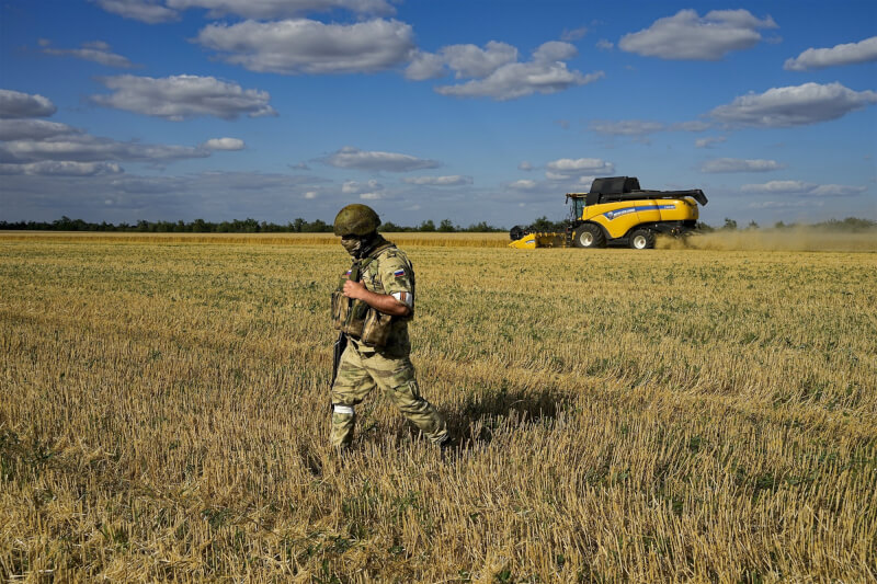 圖為被俄軍占領的烏克蘭南部城市梅利托波爾附近麥田14日收割，可見俄羅斯士兵巡守。（美聯社）