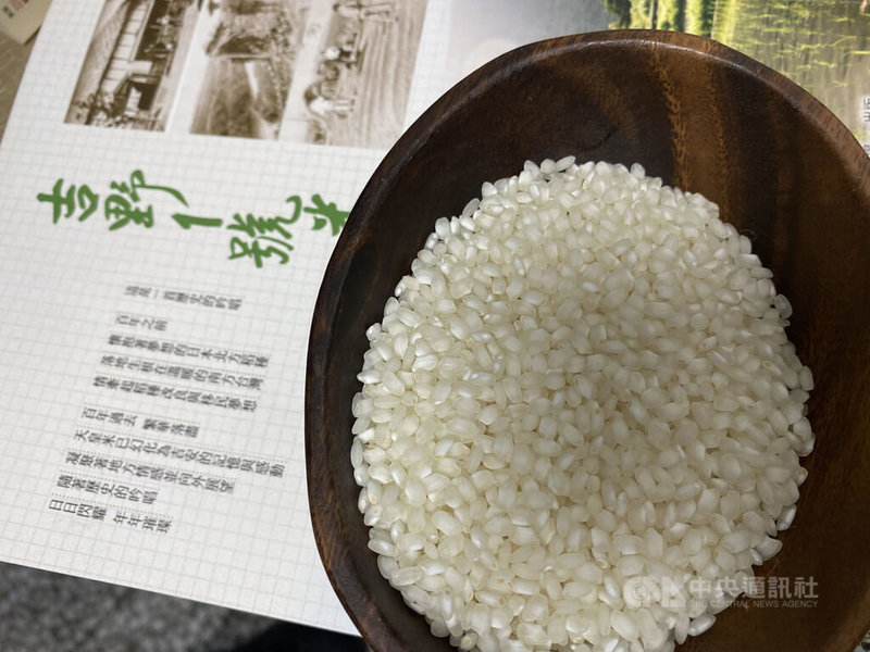 花蓮區農業改良場長杜麗華表示,為解開有「天皇米」之稱的「吉野1號米」謎團,特委託歷史學者考證其身世,發現西元1928年的吉野1號米獻穀田就位在農改場區內,因此特別出版專書介紹,並結合建場83週年慶祝活動,27日舉辦新書發表會。中央社記者李先鳳攝 111年7月27日