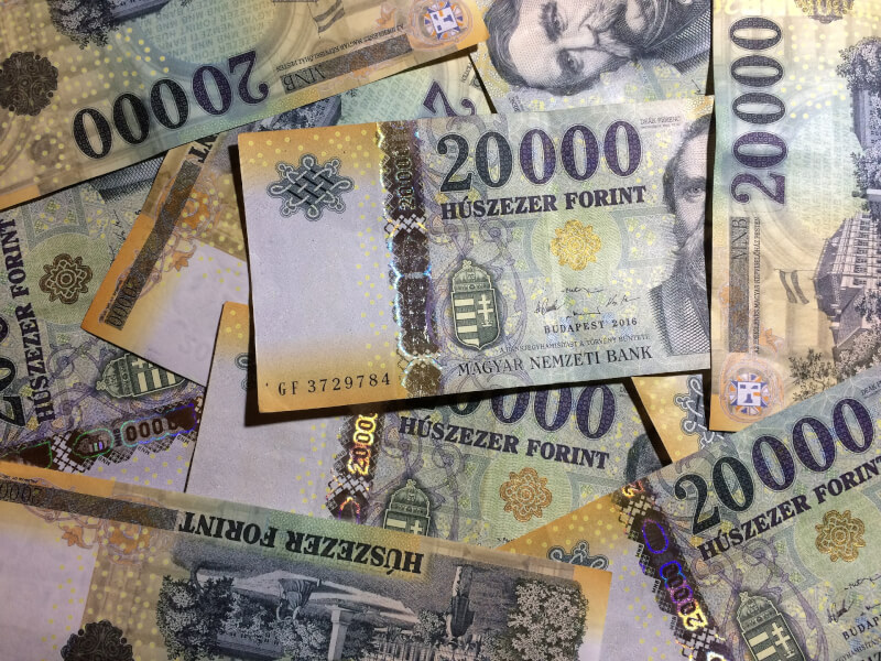 匈牙利中央銀行「匈牙利國家銀行」26日升息100個基點，來到10.75%。圖為匈牙利貨幣富林。（圖取自Pixabay圖庫）
