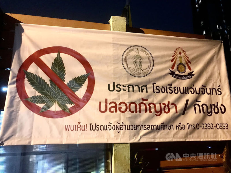 泰國6月讓大麻合法化，卻傳出多人因為使用大麻而送醫，教育部禁止大麻進入校園，許多學校掛起大麻止步的海報。中央社記者呂欣憓曼谷攝 111年8月3日