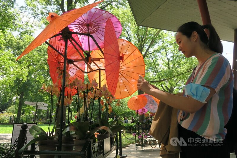 纽约皇后区植物园第9届「台湾：兰花世界」特展11日举办开幕活动，参观民众拍照留念。中央社记者尹俊杰纽约摄  111年8月12日