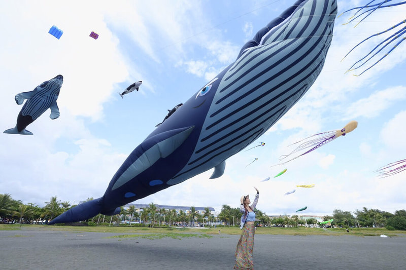 2022旗津風箏節將於20日、21日登場，高雄市政府觀光局17日進行風箏試飛，長16公尺的大鯨魚風箏在天空中飛舞。（高雄市觀光局提供）中央社記者蔡孟妤傳真  111年8月18日