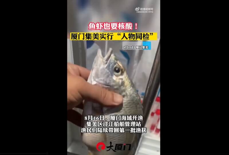 因應中國嚴苛清零政策，一些地方採人物同檢，在廈門與海南出現魚蝦也要做核酸檢測的現象。（圖取自搜狐新聞微博網頁weibo.com）