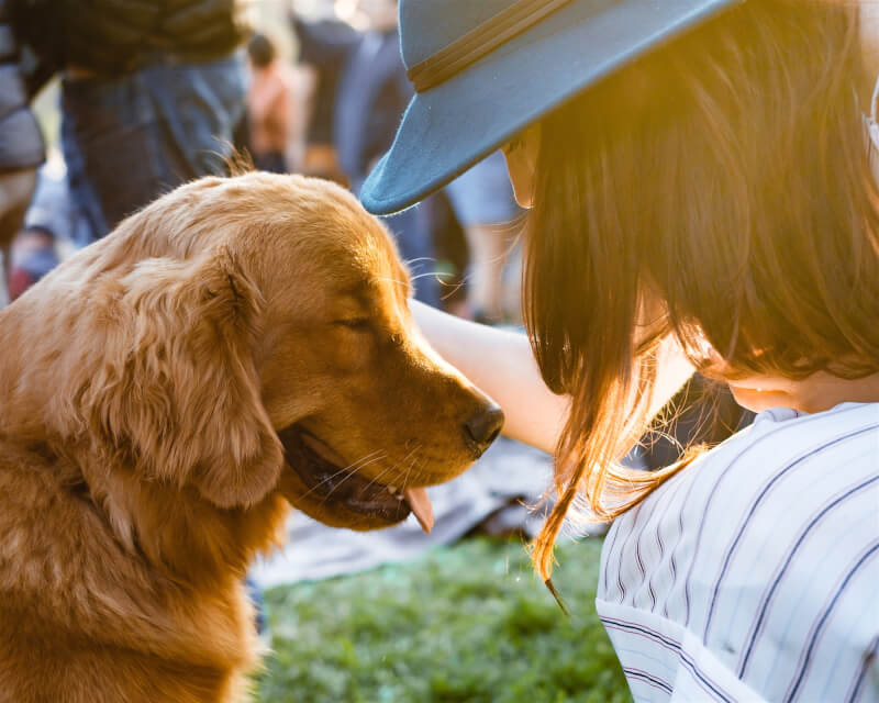 研究指出，寵物狗欣喜若狂地迎接飼主回家時可能「喜極而泣」。（圖取自Unsplash圖庫）