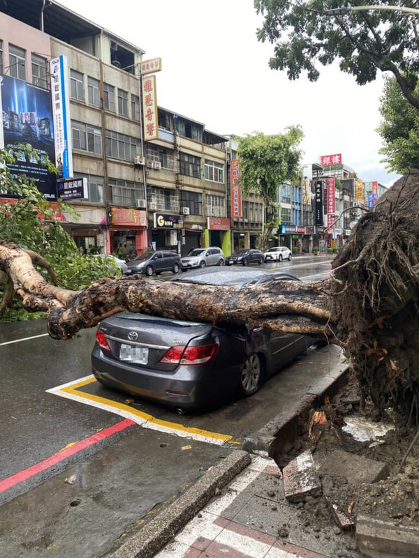 高雄市28日下午下大雨，三民區建國二路一棵路樹突然倒塌，壓毀一輛停在停車格中的汽車，幸未造成人員受傷。（民眾提供）中央社記者蔡孟妤傳真  111年8月28日