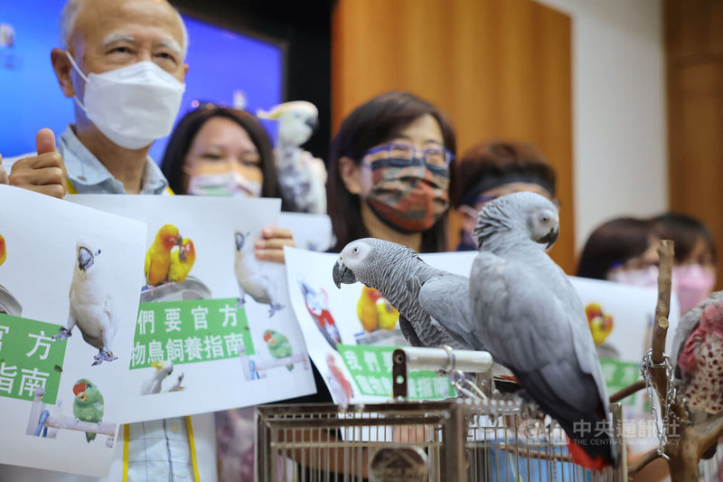 台灣鳥類救援協會、台灣動物保護行政監督聯盟等動保團體29日在立法院舉行記者會，指出繁殖業者、販售業者也可能因不熟悉鳥種而導致鳥類生病，站在動物福利角度，業者販售鳥類給民眾時，應附上「寵物鳥飼養指南」。圖為動保團體在記者會展示的寵物鳥。中央社記者王飛華攝  111年8月29日