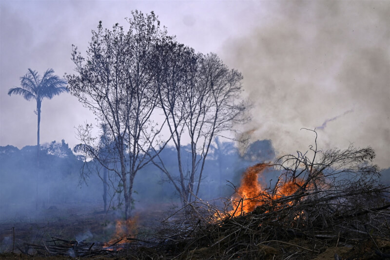 巴西國家太空署表示，旗下衛星今年8月記錄到雨林發生3萬3116起火災，而去年同期為2萬8060起。圖為8月31日亞馬遜地區火災。（法新社）