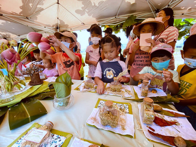 新北市金山區金美國民小學附設幼兒園日前舉行第7年收割季，引導小朋友們親手收割自己插秧種植的稻穀；特地保留的稻穗，一段段剪下後也用以作為創作素材。（新北市教育局提供）中央社記者黃旭昇新北市傳真  111年9月10日