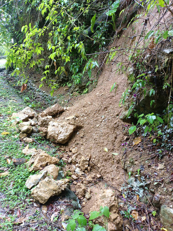 花蓮連日降雨，林務局花蓮林區管理處表示，考量轄內步道位處山區，恐落石及倒樹影響遊客安全，包括佐倉步道（圖）、撒固兒步道等10條步道暫時封閉，待勘查安全無虞後再行開放。（花蓮林管處提供）中央社記者李先鳳傳真  111年10月9日