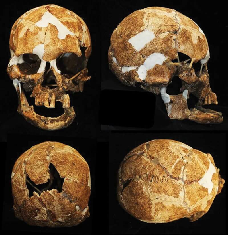 澳洲大學研究員在台灣東部山區的洞穴中，發現6000年前的女性骨骸，首次證實黑矮人部落可能真的存在。（圖取自泰勒與法蘭西斯出版集團網頁tandfonline.com）