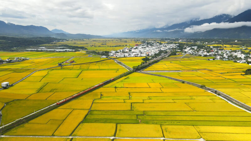 紀錄片「稻浪上的夢想家」讓更多到池上的民眾認識這個美麗農村背後的在地耕耘者，揭開稻浪上夢想家們不為人知的故事。（稻浪上的夢想家製作團隊提供）中央社記者葉冠吟傳真 111年10月29日