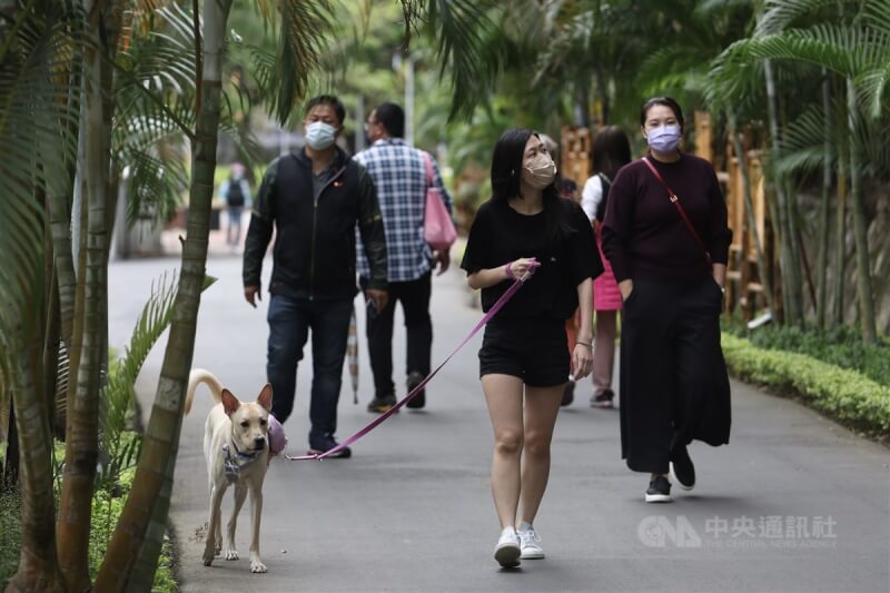 國內4日新增2萬7547例COVID-19本土病例,中重症增158例、其中74例死亡。圖為民眾於士林官邸遛狗。中央社記者吳家昇攝 111年11月4日