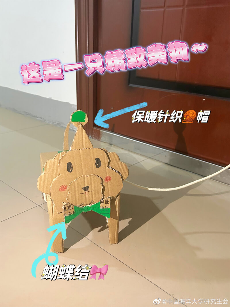 COVID-19疫情限制下，許多出不了校門的中國大學生在枯燥的校園生活中創造出一種新型寵物「紙盒狗」。（圖取自中國海洋大學研究生會微博weibo.cn）