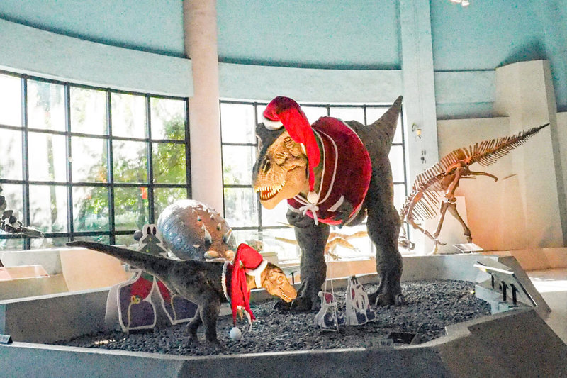 迎接耶誕節到來，國立自然科學博物館29日公開人氣明星暴龍耶誕親子套裝，歡迎家長帶著小朋友來感受耶誕節氣氛。（科博館提供）中央社記者郝雪卿傳真  111年11月29日