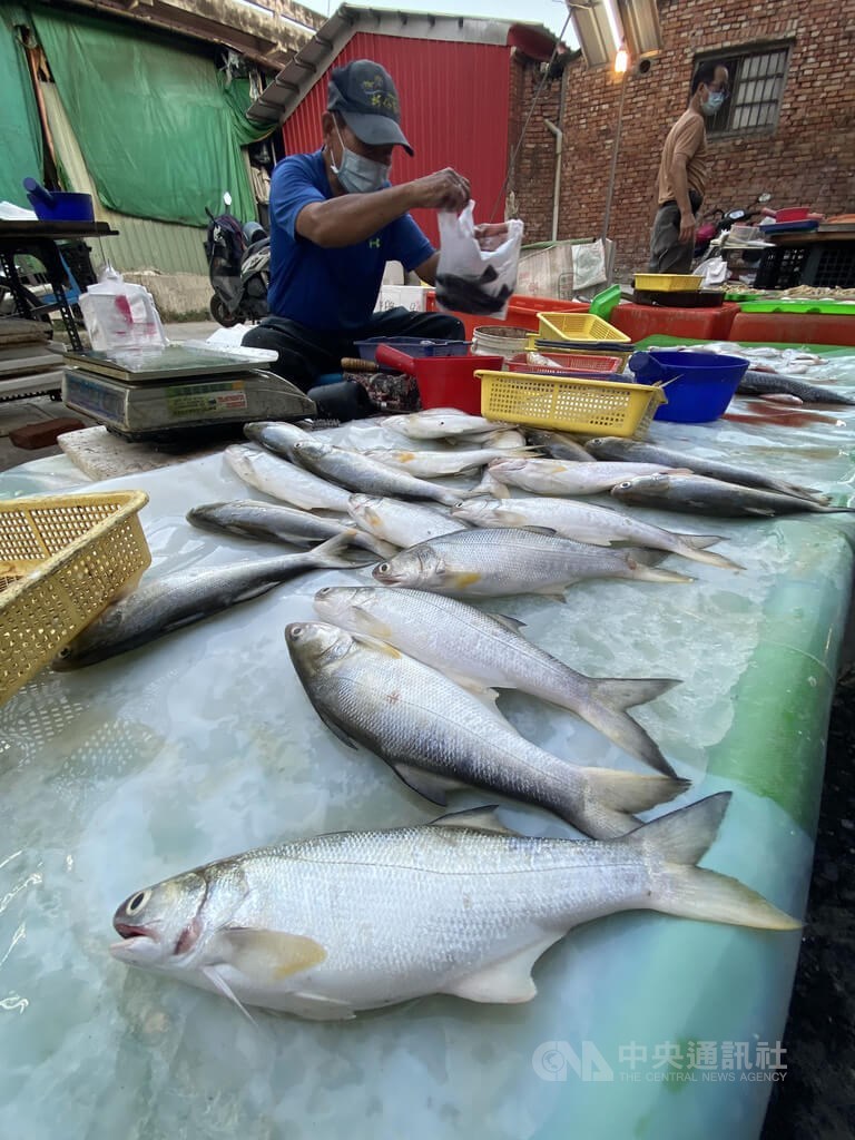 圖為9日高雄市左營區一處傳統市場的魚販販售午仔魚等水產。（中央社檔案照片）