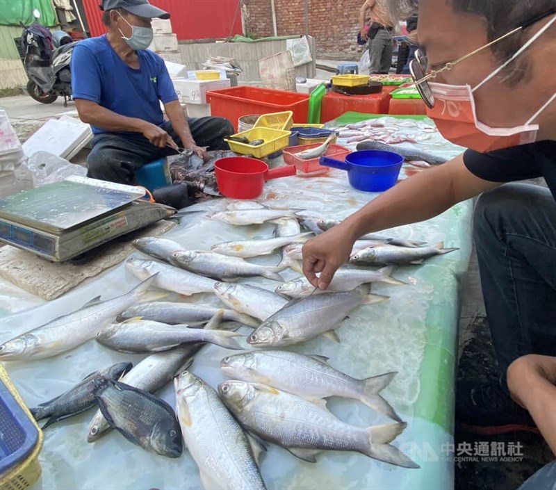 農委會14日表示，中國對台灣不公平要求有2點，包含必須書面作業、期限為今年6月底，其他國業者則是網路作業、期限明年6月底。圖為高雄左營一處傳統市場的魚販，販售午仔魚等各式水產。（中央社檔案照片）