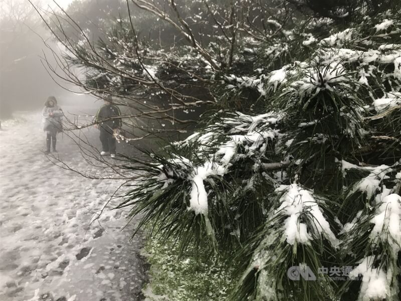 圖為2021年1月8日陽明山降雪，二子坪呈現白色美景。（中央社檔案照片）