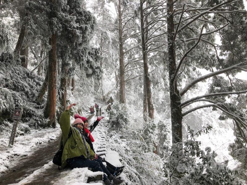 圖為去年1月宜蘭太平山國家森林遊樂區降雪，見晴懷古步道化身夢幻銀白世界，遊客開心拍照留念。（中央社檔案照片）