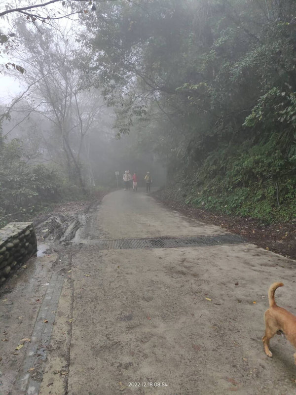 寒流發威，全台急凍，新竹縣橫山分局18日表示，在竹縣尖石鄉宇老觀景台一帶出現霧淞，路面濕滑，遊客開車上山要小心慢行。（警方提供）中央社記者郭宣彣傳真  111年12月18日