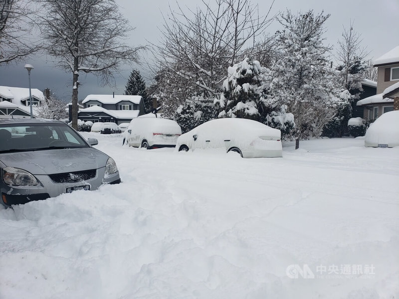 溫哥華本週一場大雪，各地區積雪約15至30公分，城市陸海空交通被風雪癱瘓。 中央社記者程愛芬溫哥華攝  111年12月22日