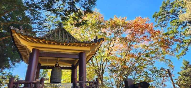 嘉義林區管理處23日指出，阿里山慈雲寺古鐘樓前青楓透著陽光映照出綠黃橙紅漸變色彩，美不勝收，值得一遊。（嘉義林管處提供）中央社記者蔡智明傳真 111年12月23日