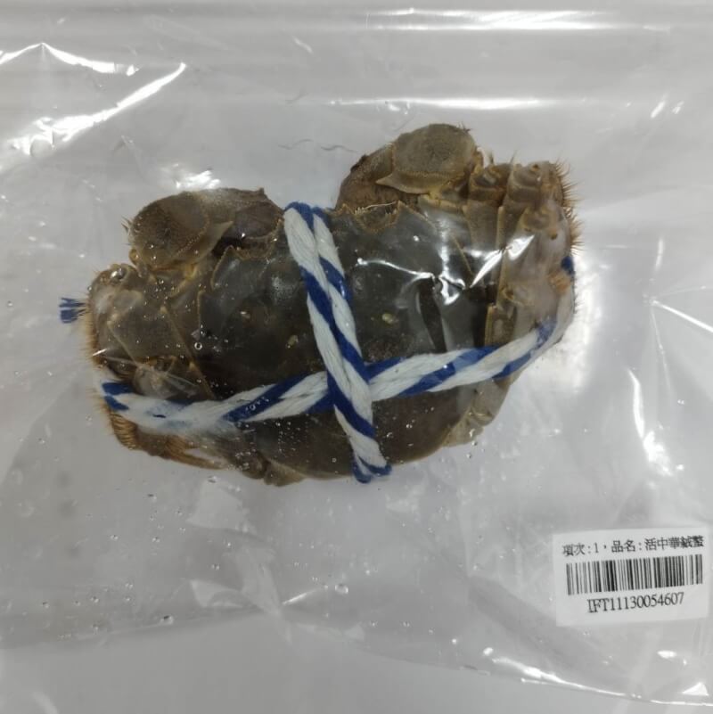 衛福部食藥署公布最新邊境攔截結果，一批重達6400公斤的中國活中華絨螯蟹（俗稱大閘蟹）違規被檢出殘留戴奧辛。（圖取自食藥署網頁fda.gov.tw）