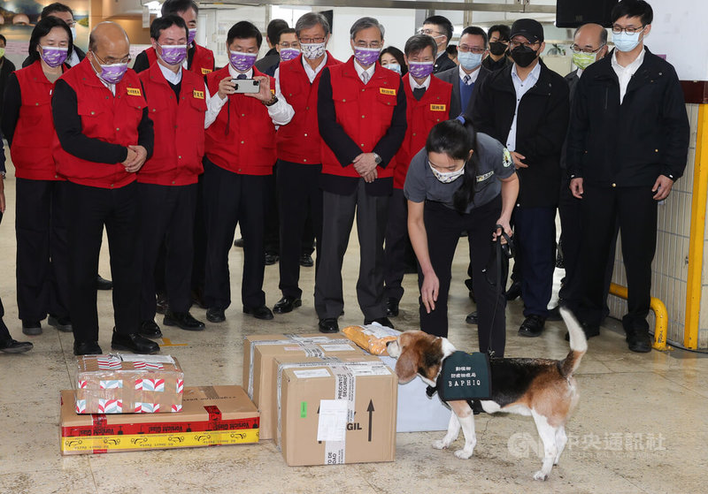 行政院長蘇貞昌（前左）3日視察台北郵件處理中心國際郵包動物檢疫強化措施，檢疫犬現場進行嗅聞作業。中央社記者謝佳璋攝  112年1月3日