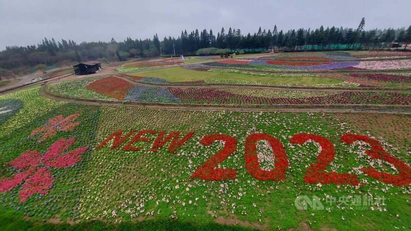 馬公市冬季旅遊新亮點的澎湖休憩園區今年以「玉兔迎春賀新歲」主題，打造美麗花海，歡迎民眾新春連假可前往園區，一起迎春過好年。中央社  112年1月10日