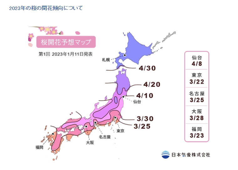 日本氣象株式會社11日公布2023第1次年櫻花開花及滿開預測。(圖取自日本氣象株式會社網頁n-kishou.com)
