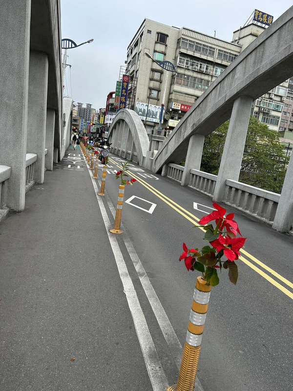 新北市定古蹟三峽拱橋上的防撞桿近日被人插上成排鮮花植栽，畫面曝光引發討論。三峽區公所12日表示，為免影響民眾用路安全，已請清潔隊員協助移除。（三峽區公所提供）中央社記者黃旭昇新北市傳真 112年1月12日