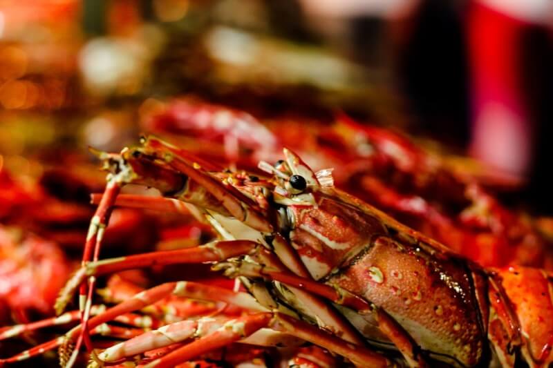 中國過去幾年禁止澳洲龍蝦進口，但媒體發現有價值數億澳幣的澳洲龍蝦利用台灣的金、馬地區走私進入中國。（示意圖／圖取自Pixabay圖庫）