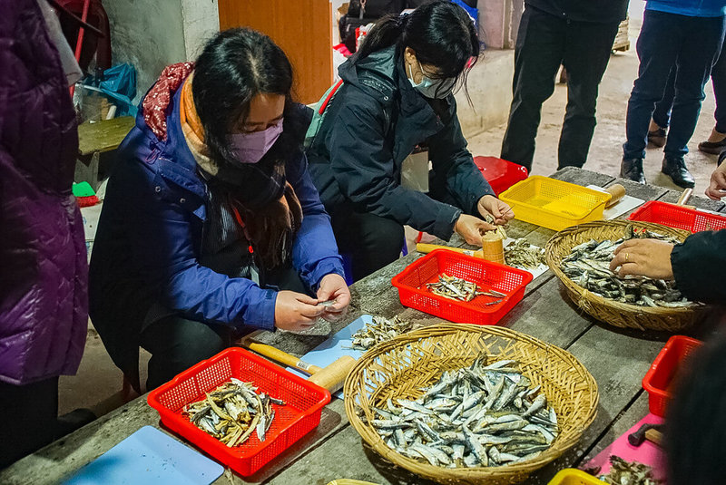 交通部觀光局澎湖國家風景區管理處推出「四季澎湖灣、精彩一籮筐」旅遊活動，其中「冬之訪古季」自2月25日至3月26日間每星期六推出，踩線團17日實地體驗漁村傳統敲魚乾等，都覺得相當好玩有趣。（澎管處提供）中央社  112年1月17日