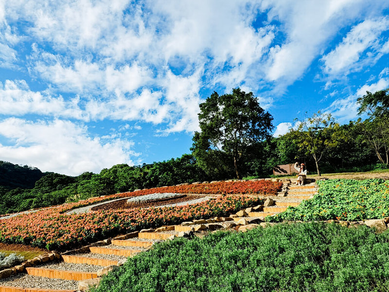 被譽為「台版富良野」的三層崎花海18日開展，今年特別以能作為生態環境指標的大冠鷲為主題，打造出獨特地景風貌，並融入歷史文化、多元產業意涵。（台北市工務局提供）中央社記者陳昱婷傳真  112年1月18日