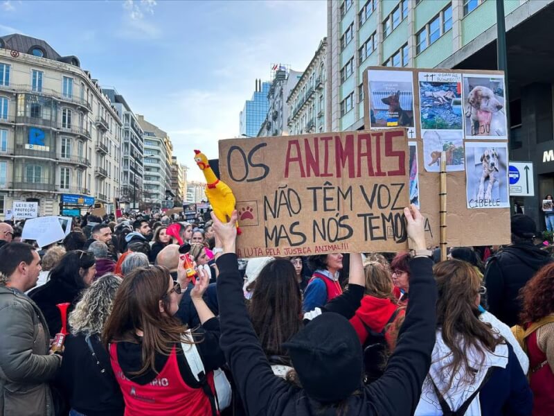 葡萄牙數千民眾21日走上首都里斯本街頭為動物發聲。（路透社）