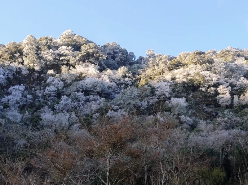 新竹縣尖石鄉宇老、新光部落及李棟山等高海拔地區，24日晚間陸續傳出飄雪，有民眾在臉書分享清晨時山頭結霧淞的照片，白靄靄的景象相當夢幻、美麗。（新光部落民眾曾詩芸提供）中央社記者魯鋼駿傳真 112年1月25日