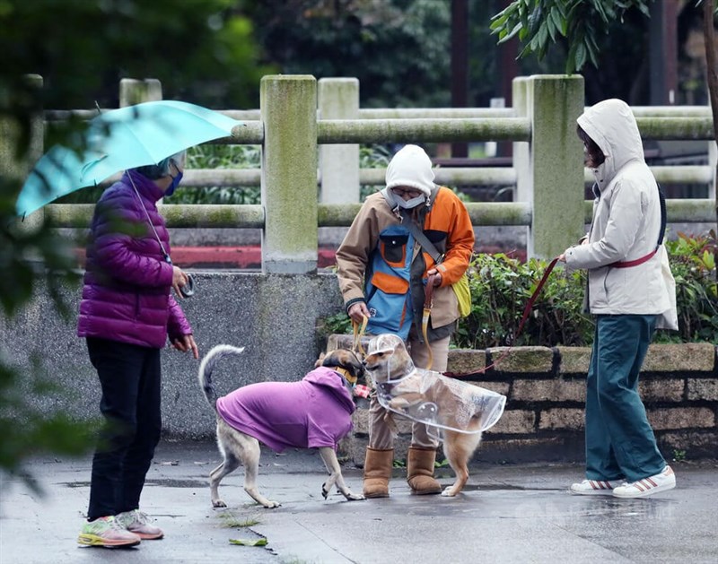 圖為北市南區民眾外出穿著保暖衣物並攜帶雨具，毛孩也穿上雨衣與防寒衣物。（中央社檔案照片）