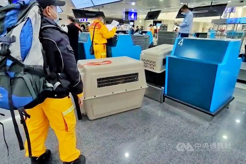 台灣搜救隊6日晚間搭乘土耳其航空公司班機前往土國協助救災，同時攜帶搜救犬協助救援任務。中央社記者吳睿騏桃園機場攝  112年2月6日