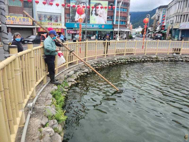 花蓮縣玉里鎮圓環水池近日約有20多尾魚翻肚死亡，玉里鎮公所派員前往清理，研判疑因天氣忽冷忽熱，加上民眾過度餵食導致魚隻死亡。（玉里鎮公所提供）中央社記者張祈傳真  112年2月9日