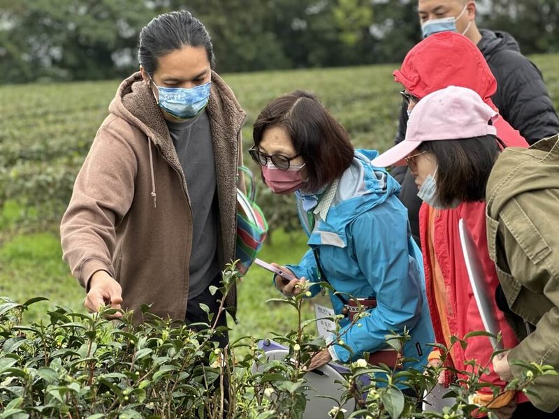 花蓮縣政府農業處帶領旅行社及旅宿業者前往壽豐、馬太鞍、舞鶴、東豐、羅山等5個休閒農業區實地踩線，希望在原本已具特色的基礎上，尋求多元市場。圖為參訪舞鶴茶區。（花蓮縣政府提供）中央社記者李先鳳傳真  112年2月16日