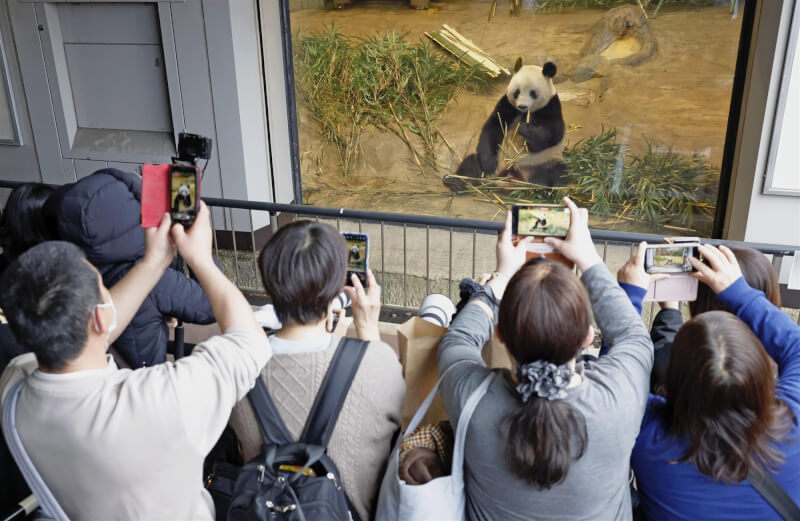 許多日本民眾19日到上野動物園與香香告別，爭相拍照留念。（共同社）