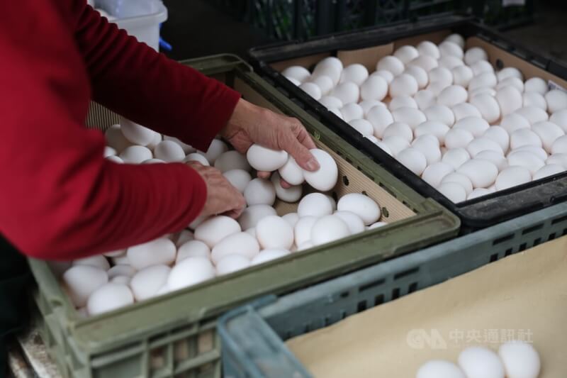 圖為16日台北市雞蛋批發商供應情形。（中央社檔案照片）