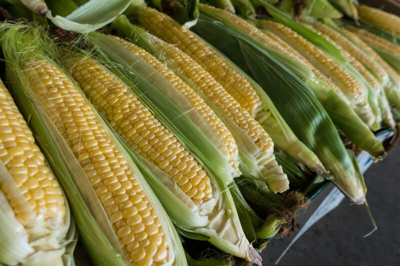 財政部24日宣布，進口黃豆、小麥、玉米免徵營業稅，延長實施至6月30日。（圖取自Unsplash圖庫）