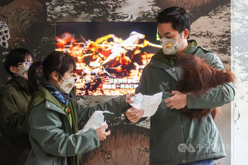 台北市長蔣萬安（右）25日前往台北市立動物園，照顧紅毛猩猩寶寶「秀彩」，化身保育員，體驗如何為紅毛猩猩寶寶換尿布。中央社記者鄭清元攝  112年2月25日