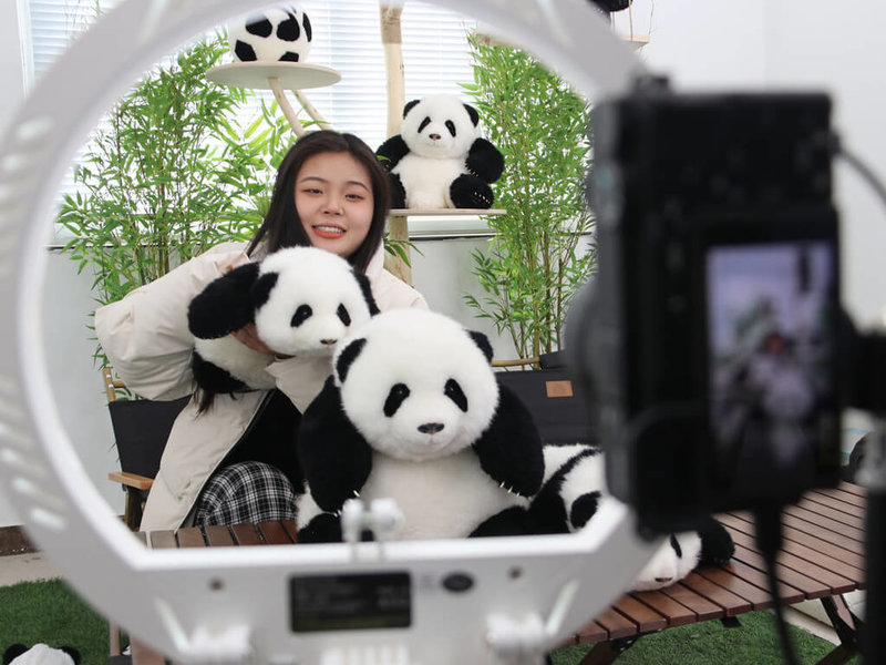 直播越來越夯，中國官方2日發布報告指出，中國大陸短影音使用者規模首次突破10億，用戶使用率高達94.8%。圖為山東荷澤，一家玩具企業主播透過直播賣貓熊玩偶。（中新社提供）中央社  112年3月2日