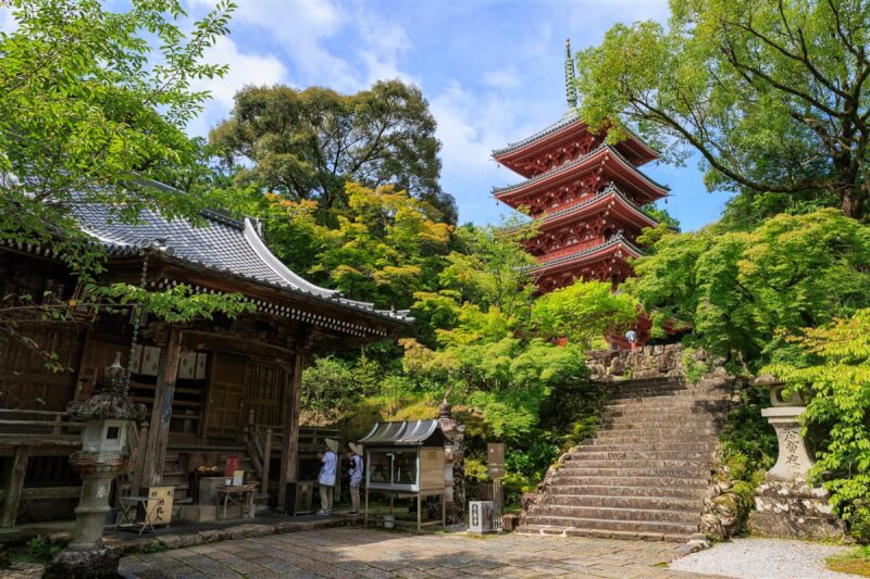 到日本四國旅遊的新目的之一，是來趟遍路之旅，其中位於高知縣的竹林寺也是知名的賞楓景點。（高知縣提供）中央社記者余曉涵傳真 112年3月2日