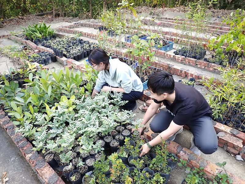 嘉大森林暨自然資源學系森林特色週6日將展開，規畫提供約2400株台灣原生樹種苗木讓民眾以發票換取，每3張1、2月發票換1株，每人最多可換2株，（嘉義大學提供）中央社記者黃國芳傳真  112年3月3日