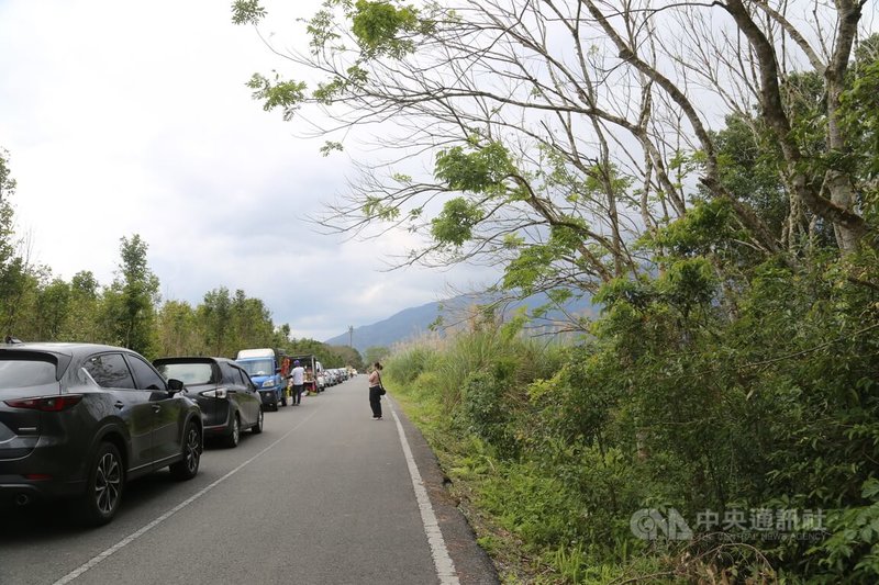 花蓮興泉圳其中一條圳道兩旁種有200多棵黃花風鈴木盛開，週末假日遊客絡繹不絕前往賞花，田間小路停滿車輛，附近農民利用小貨車載著自產農產品到場販售。中央社記者李先鳳攝  112年3月5日