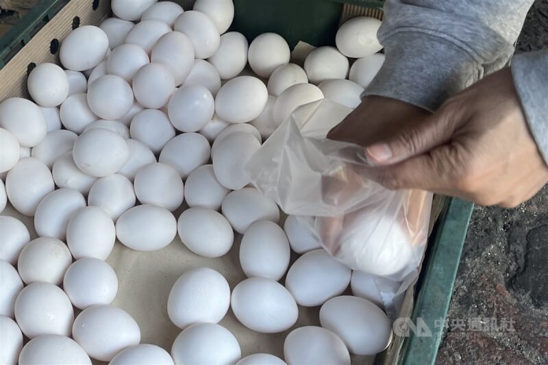 農委會主委陳吉仲7日表示，3月底可以補足雞蛋供應缺口，不排除從其他國家進口。圖為民眾在台北市北投區雜貨店買雞蛋。（中央社檔案照片）