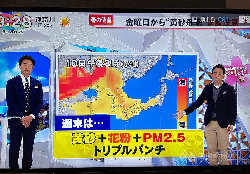 日本花粉症患者多，最怕聽到「今年花粉比去年多幾倍」的消息。3月8日電視台氣象主播報導，過幾天除了花粉還有來自中國大陸的沙塵暴、細懸浮微粒（PM2.5），對花粉症者將是「三重打擊」。（翻拍自富士電視台）中央社記者楊明珠東京攝  112年3月8日